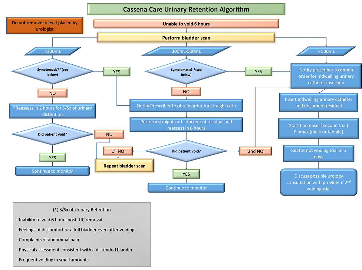 Continence Algorithm Presentation